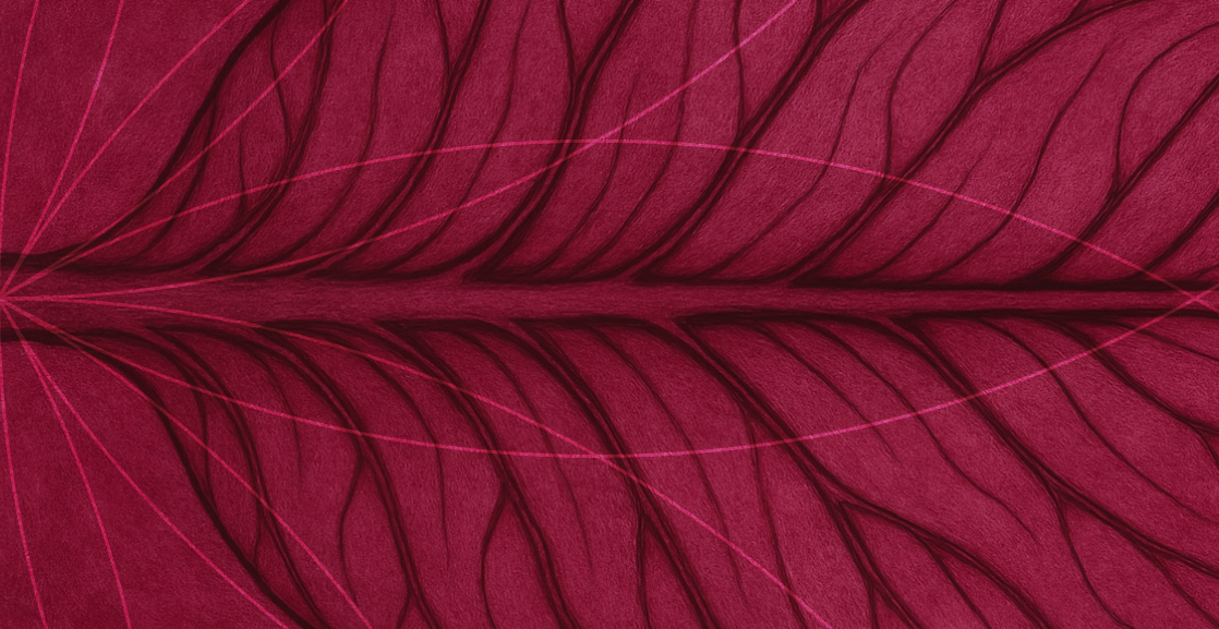 Bach _clinica-370x370