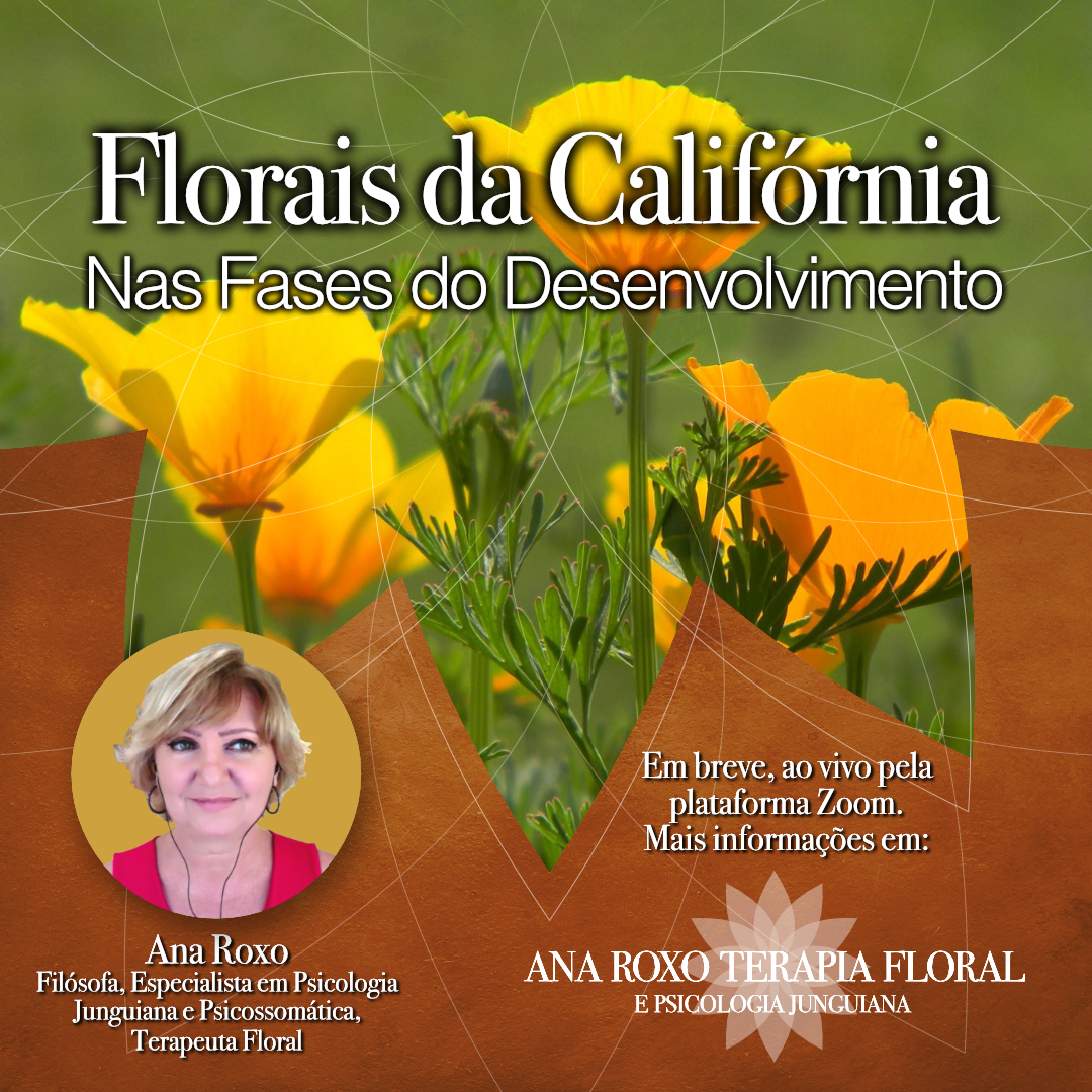 Bach _clinica-370x370