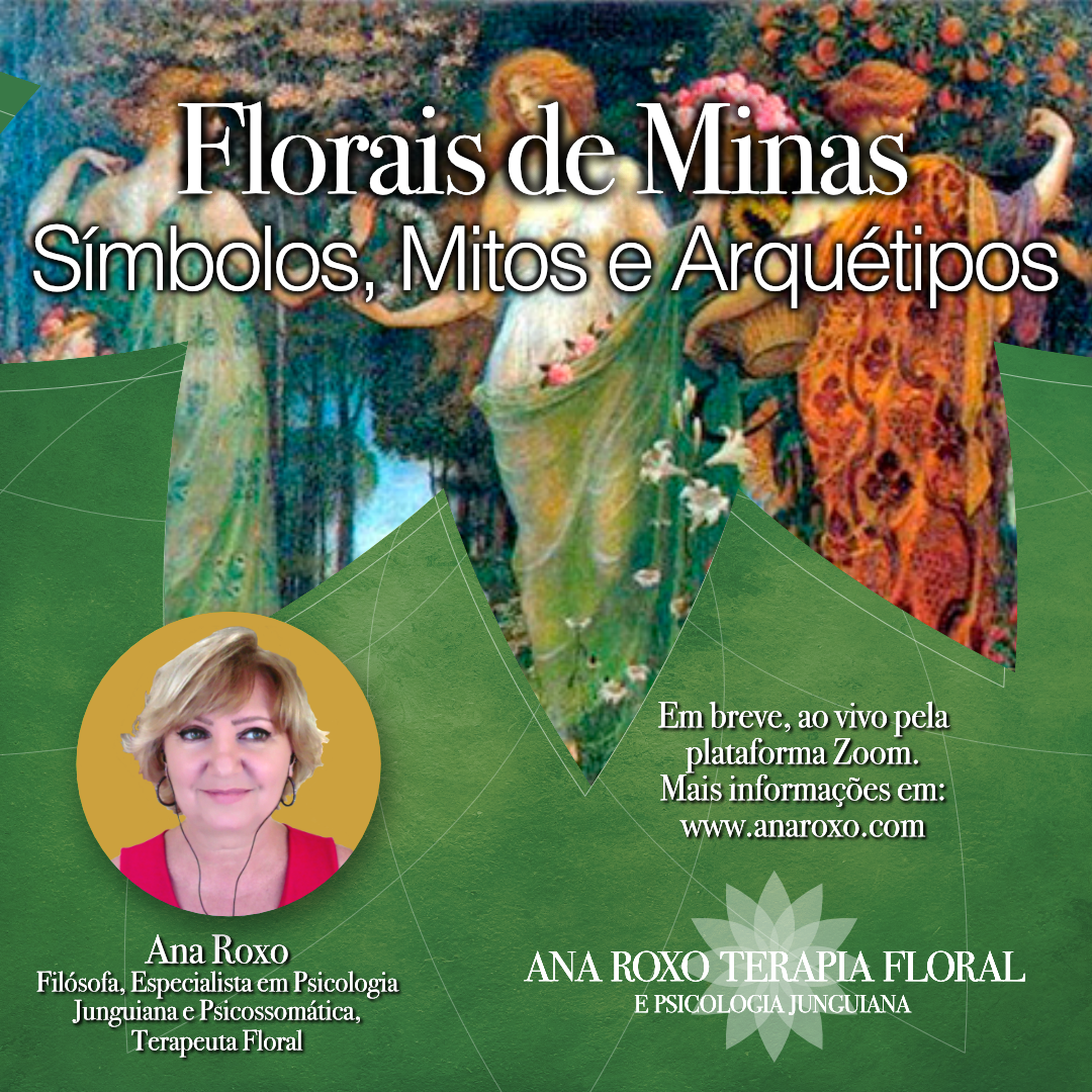 Bach _clinica-370x370