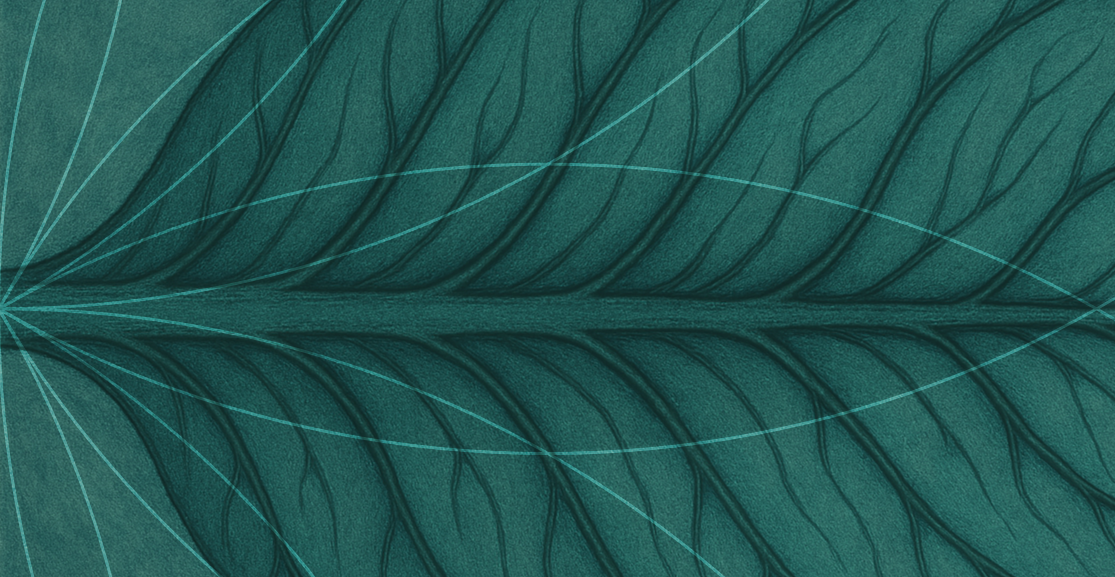 Bach _clinica-370x370