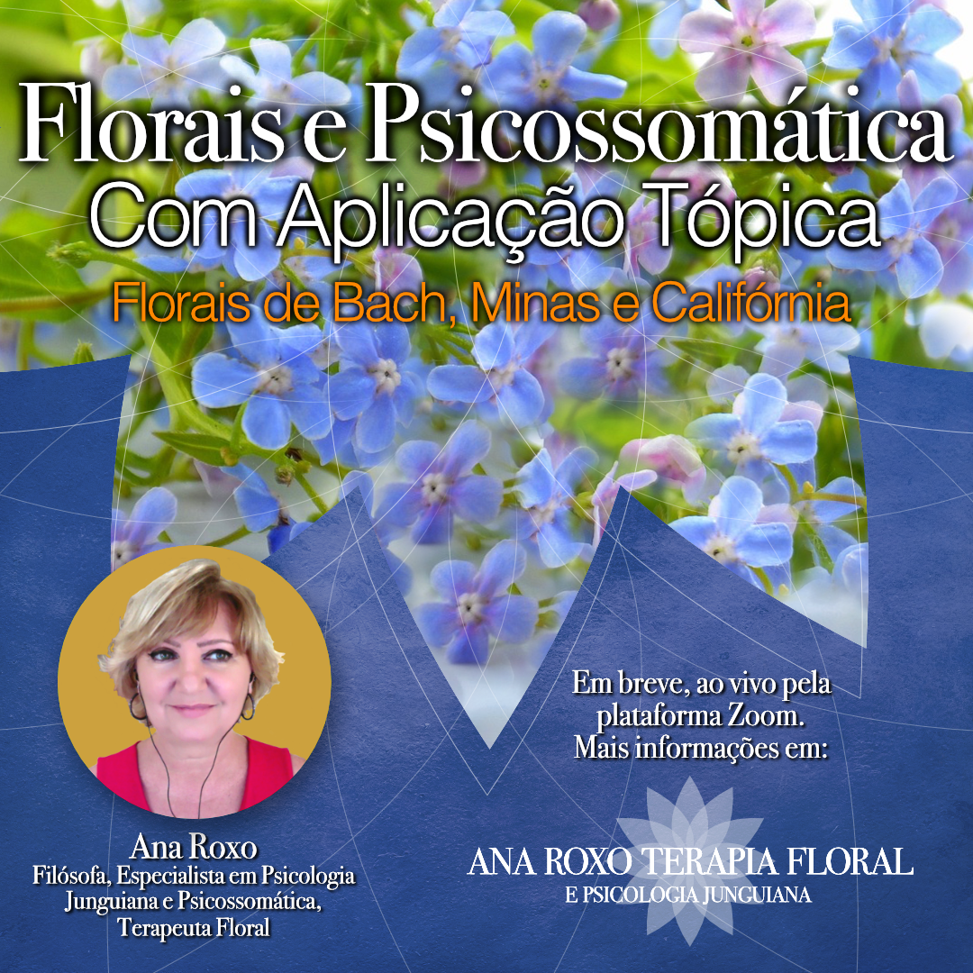 Bach _clinica-370x370